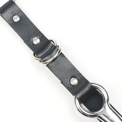 Leash Kinky Collar 5853 EverydayUse Anal with Hook and 0721